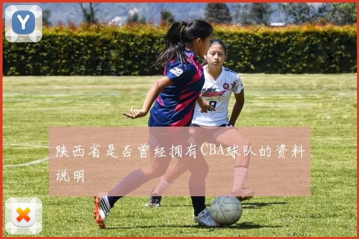 陕西省是否曾经拥有CBA球队的资料说明
