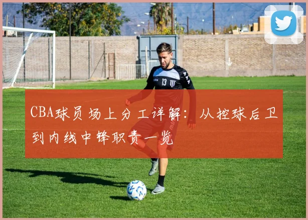 CBA球员场上分工详解：从控球后卫到内线中锋职责一览