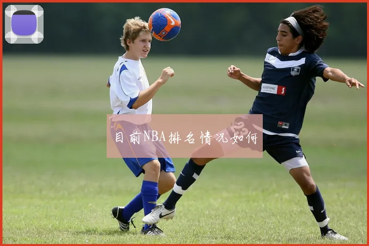 目前NBA排名情况如何